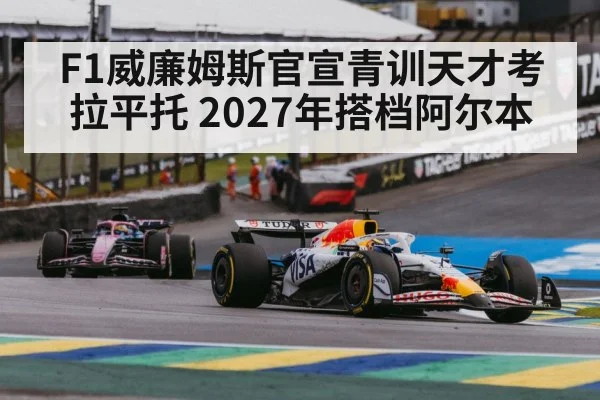 Alex Albon Williams F1
