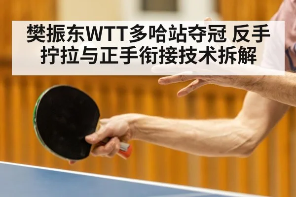 樊振东WTT多哈站夺冠 反手拧拉与正手衔接技术拆解